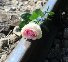 Judge not: deep sorrow, not bigotry, may be speaking.