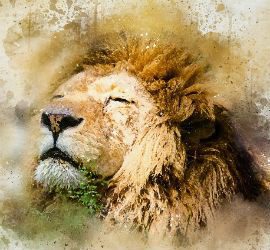 He was a true leader!