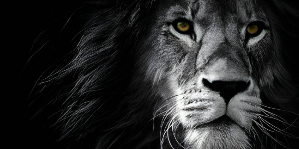 Why Great Leadership Will Make You Question Everything [Podcast]