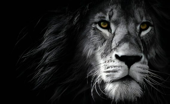 Why Great Leadership Will Make You Question Everything [Podcast]