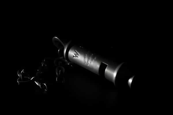 Exposing Your Blind Spots: The Argument For Fostering Whistleblower Voices To Become A Successful Leader