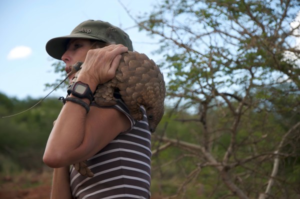 The Ethical Imperative: Citizenship, Civil Society, and Our Duty to Endangered Animals